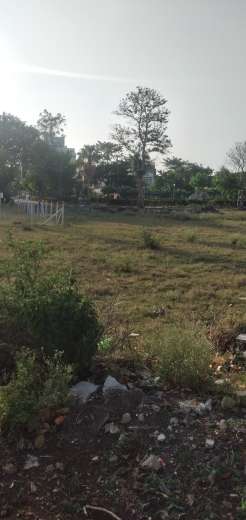  Plot For Resale in Ab Bypass Road Indore 5394869