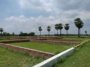  Plot For Resale in MG Metro Plots Kanpur Road Lucknow 5395980
