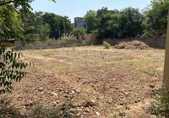 Commercial Land 391 Sq.Yd. For Resale In Naranpura Ahmedabad 5400444