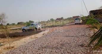  Plot For Resale in Noida Ext Sector 12 Greater Noida 5403359