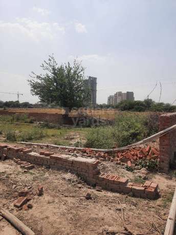  Plot For Resale in RWA Apartments Sector 27 Sector 27 Noida 5403982