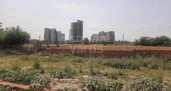  Plot For Resale in Gn Sector 27 Greater Noida 5404041
