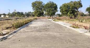  Plot For Resale in Sector 5 Gurgaon 5404054