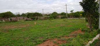  Plot For Resale in Bhanur Hyderabad 5404421