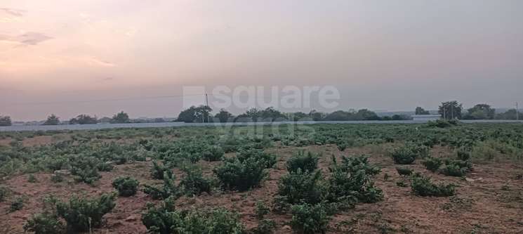 Commercial Land 6 Acre in Chilkur Hyderabad