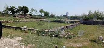  Plot For Resale in RWA Apartments Sector 27 Sector 27 Noida 5406848