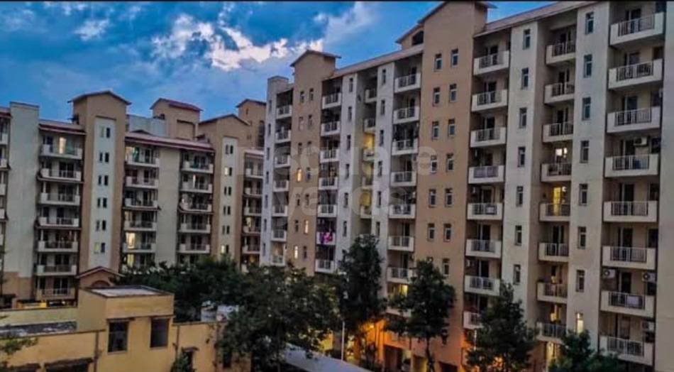 Resale 4 Bedroom 1950 Sq.Ft. Apartment in Emaar Palm Hills, Sector 77 Gurgaon 5411701