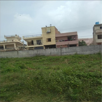  Plot For Resale in Mullanpur Chandigarh 5411783