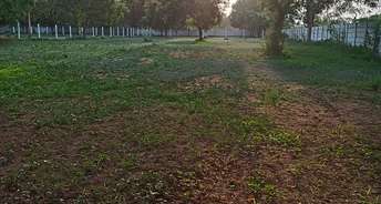  Plot For Resale in Moinabad Hyderabad 5412098