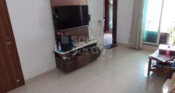 1 BHK Apartment For Resale in Keytech Ashok Smruti Ghodbunder Road Thane 5412339