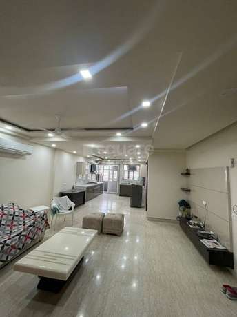 3 BHK Builder Floor For Rent in Punjabi Bagh West Delhi 5412895