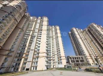 3 BHK Apartment For Resale in Samridhi Luxuriya Avenue Sector 150 Noida 5413033