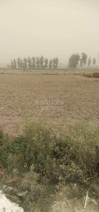 Commercial Land 30060 Sq.Ft. For Resale In Elampur Aligarh 5414008