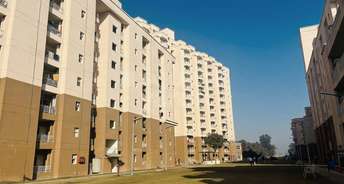 1 BHK Apartment For Resale in Sondhapur Panipat 5414204