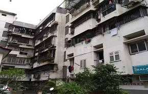 1 BHK Apartment For Resale in Shalimar CHS Santacruz Santacruz West Mumbai 5416612