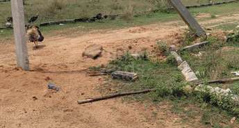  Plot For Resale in Thiruthani Chennai 5417875
