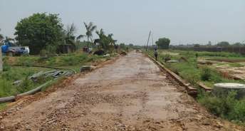  Plot For Resale in Amolik Aster Woods Sector 98 Faridabad 5422147
