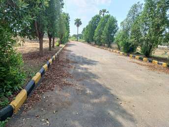  Plot For Resale in Attapur Hyderabad 5425985