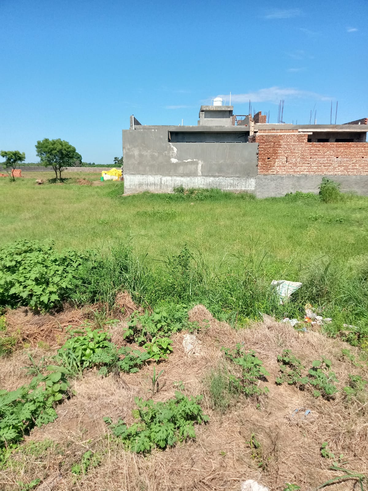 resale-300-sq-yd-plot-in-sector-109-mohali-5427836