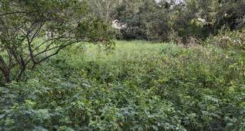 Commercial Land 7 Acre For Resale In Gagillapur Hyderabad 5427905