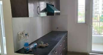 2 BHK Apartment For Resale in Garhi Chaukhandi Noida 5430226