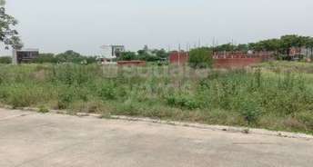  Plot For Resale in Mullanpur Chandigarh 5431591