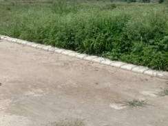  Plot For Resale in Mullanpur Chandigarh 5431754