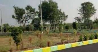  Plot For Resale in Sindhi Colony Hyderabad 5434385