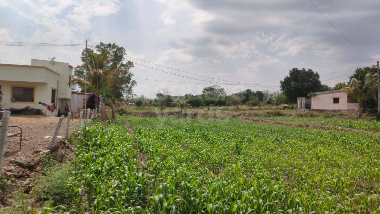 Resale 1299 Sq.Ft. Plot in Kasarsai Pune 5434484