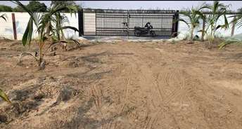  Plot For Resale in Sultanpur Hyderabad 5434696