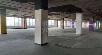 Commercial Office Space 36000 Sq.Ft. For Resale In Sector 49 Gurgaon 5438566