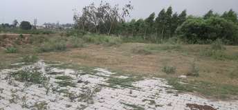 Commercial Industrial Plot 800 Sq.Yd. For Resale In Dera Bassi Mohali 5440582