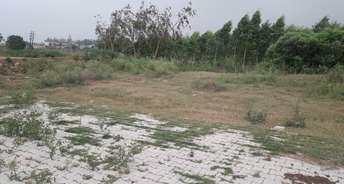 Commercial Industrial Plot 800 Sq.Yd. For Resale In Dera Bassi Mohali 5440582