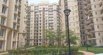1 BHK Apartment For Resale in Signature The Serenas Sohna Sector 36 Gurgaon 5446605