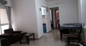 2 BHK Apartment For Resale in DB Orchid Acre Mira Road Mumbai 5446864