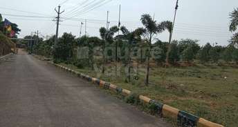  Plot For Resale in Chikkadpally Hyderabad 5447986