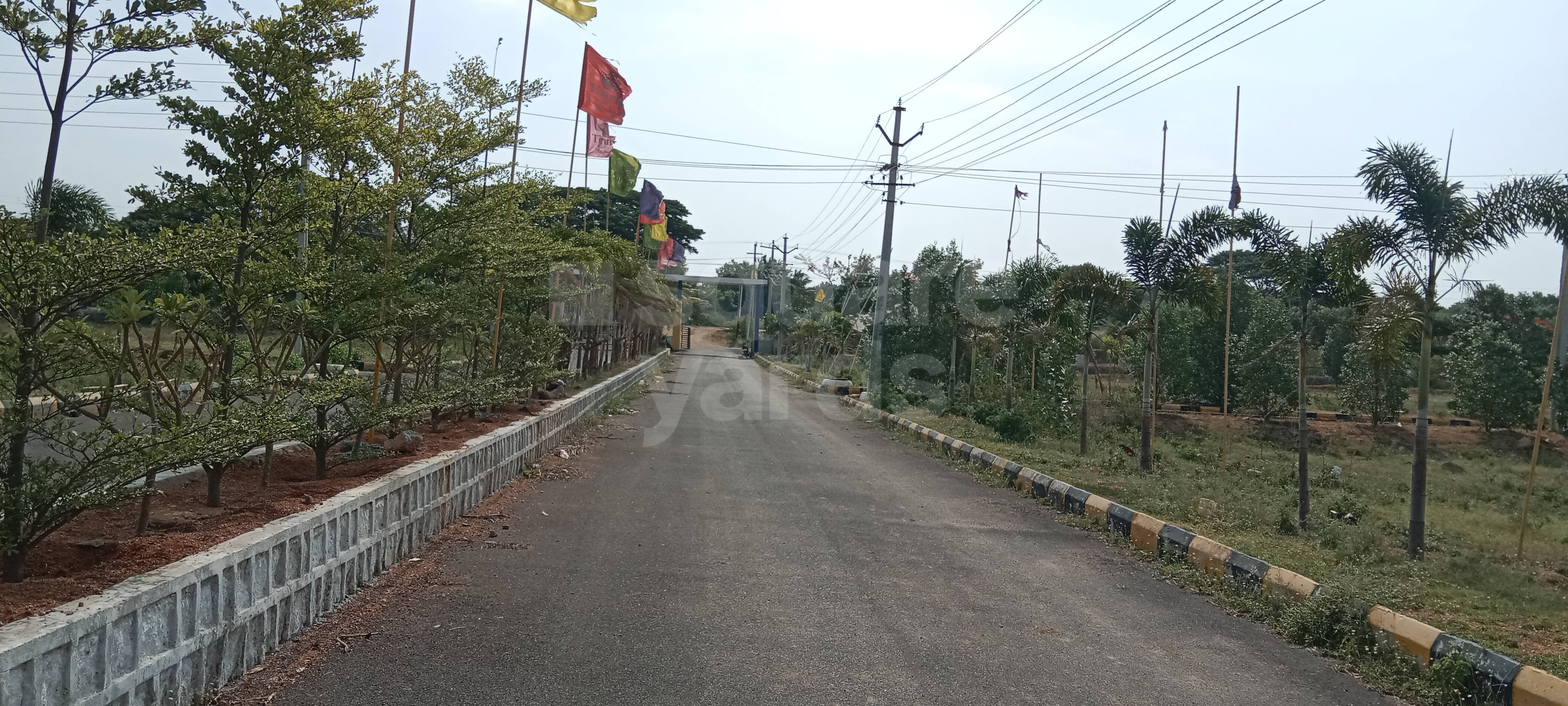 Resale 150 Sq.Yd. Plot in Ecil Hyderabad 6417987