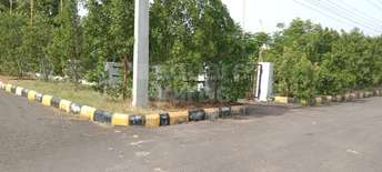  Plot For Resale in Nagole Hyderabad 5447989