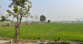  Plot For Resale in Junpat Village Greater Noida 5450635