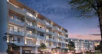 4 BHK Apartment For Resale in Sector 84 Gurgaon 5451150