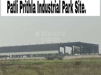Commercial Land 1000 Sq.Yd. For Resale In Palwal Faridabad 5460867