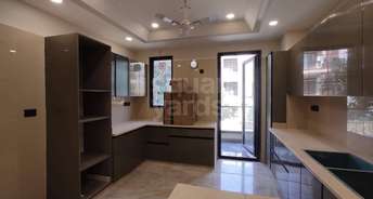 3 BHK Apartment For Resale in Cosmos Executive Sector 3 Gurgaon 5462596