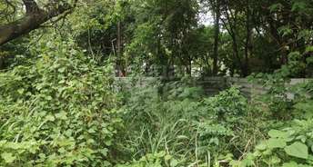  Plot For Resale in Vyalikaval Bangalore 5463299