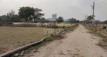  Plot For Resale in Gn Sector 27 Greater Noida 5463322