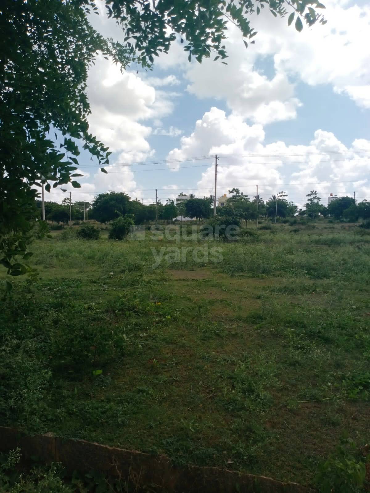 Resale 1200 Sq.Ft. Plot in Tavarekere Bangalore 5464243