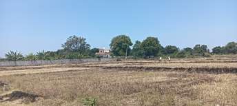 Commercial Land 2 Acre For Resale In Chilkur Hyderabad 5465149