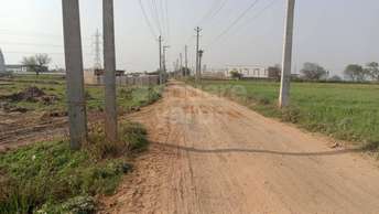 Commercial Industrial Plot 700 Sq.Yd. For Resale In Jasana Faridabad 5465552