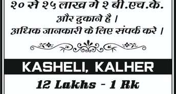 1 BHK Apartment For Resale in Riddhi Siddhi Complex Kalher Kalher Thane 5466211