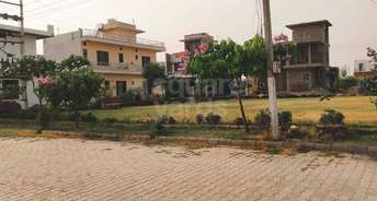  Plot For Resale in Canum VIP Enclave Central Derabassi Chandigarh 5468710