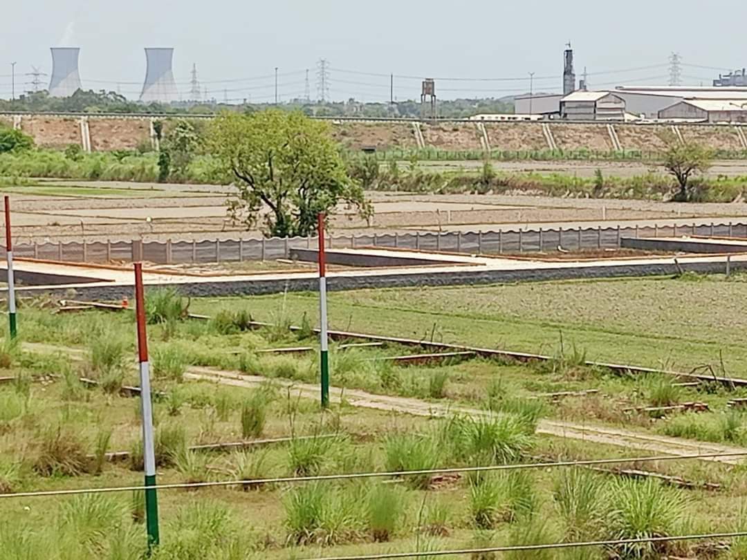 Resale 50 Sq.Yd. Plot in Dadri Main Road Greater Noida 5468733